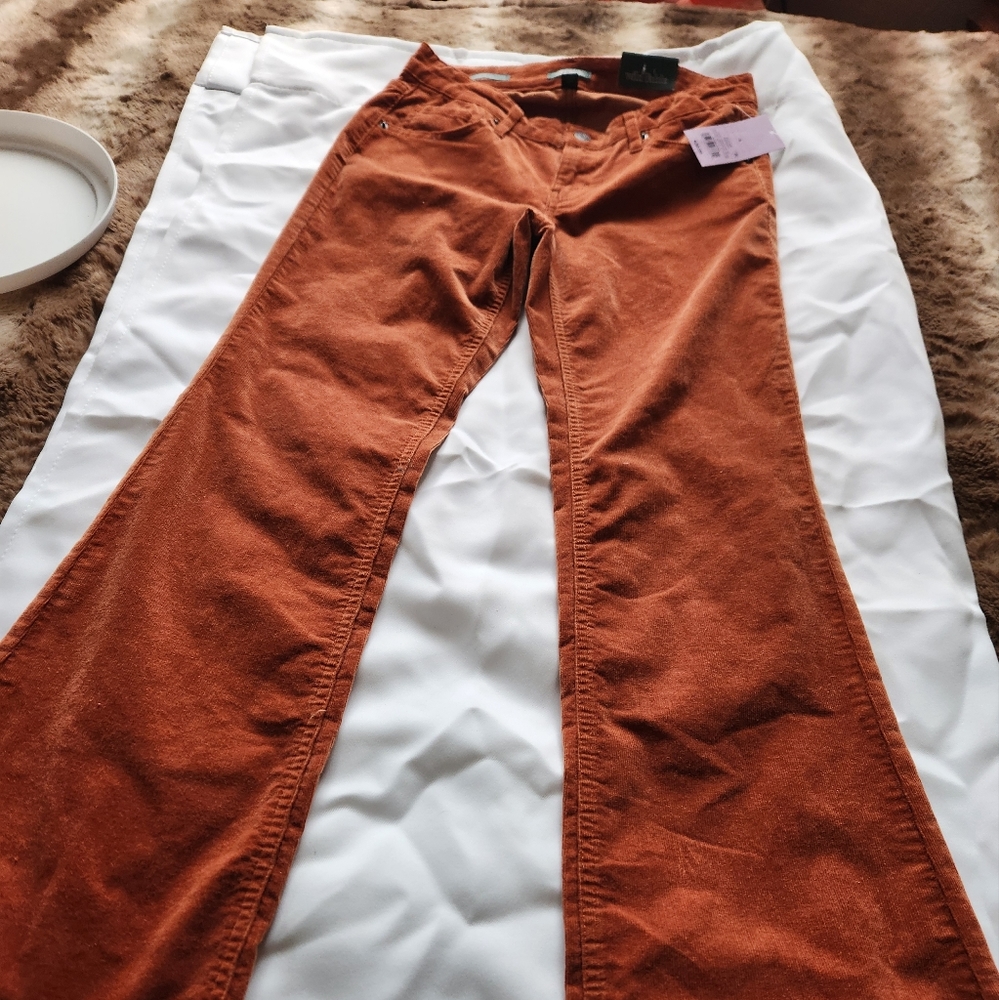 Wild Fable Orange Flare Pants